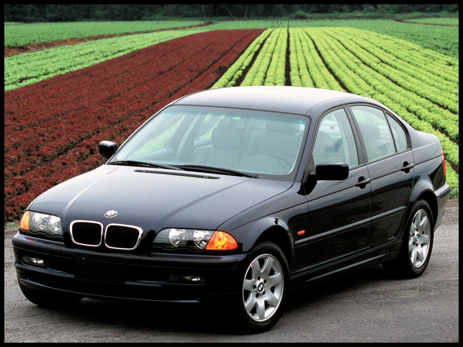 BMW 3 Series E46 1998 2002