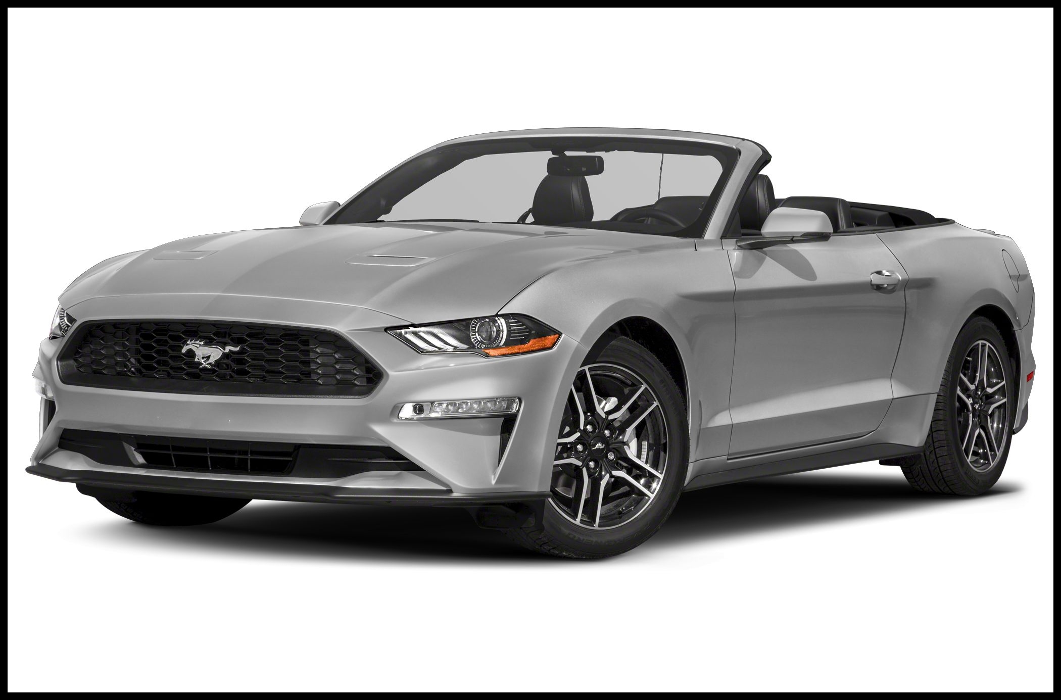 New 2019 Ford Mustang EcoBoost